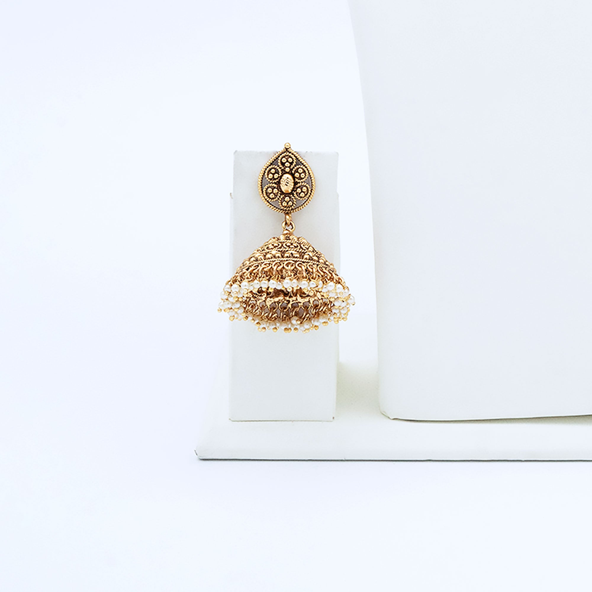 Trendy Lakshmi Coin Necklace Set